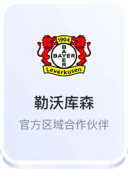 勒沃库森官方区域合作伙伴